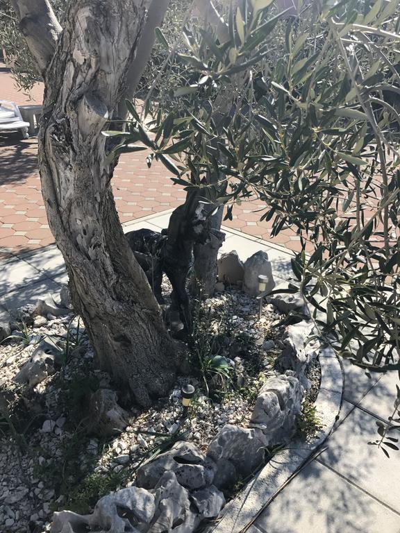 Casa Dolcevita Šibenik Dış mekan fotoğraf